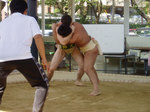相撲3.jpg