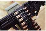 pkm2.jpg